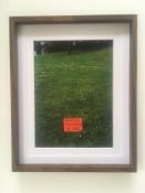 David Shrigley (b1968) Rare Art Exhibition Card, ‘Imagine The Green Is Red’, 27 x 22 cms, 2003