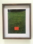 David Shrigley (b1968) Rare Art Exhibition Card, ‘Imagine The Green Is Red’, 27 x 22 cms, 2003