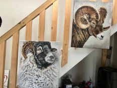 2 Ram Oil Paintings On Canvas. Artist Is Miranda Assink