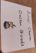 Silver Charm - Dalton Broads