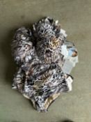 10 Naturana Leopard Swimsuits Assorted Sizes