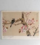 1938 Japan Blossom 'Spring Delights' By 'Chang Luc-Chi', Note Card With Dedication