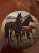 Collectors Plate “New Forest Ponies” Bradford Exchange