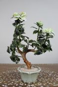 Jade Bonsai Plant