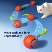 10 x Interactive Pet Toy RRP Â£149.90 L13a