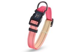 15 x Reflective Dog Collar With Gradient Azure