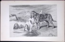 Otter Hounds Antique Book Plate Rawdon Lee Modern Dogs 1893-28