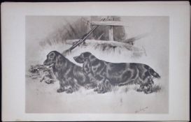 Pair Black Field Spaniels Antique Book Plate Rawdon Lee -Modern Dogs -64