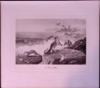 Otters at Play Rare JG Millais Limited-Edition Antique Print-93.