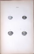Reed Warbler Species Hewitson Antique Nests & Eggs of British Birds Print-24