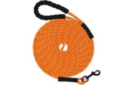 Training Lead for Dogs 5m L13b