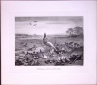 Stoat & Its Intended Victims Rare Limited-Edition Antique Print-90.