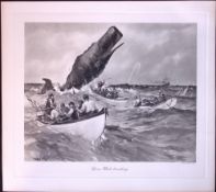 Sperm Whale Breaching Rare Limited-Edition Antique Heliogravure Etching.