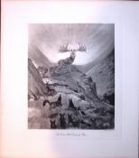 The Stag Dawn Of Man Rare Limited-Edition J.G. Millais Antique Print