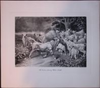 The White Cattle Herd Rare Limited-Edition Antique JG Millais Print.
