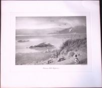 Common Seals Suspicious Rare Limited-Edition J.G. Millais Antique Print.