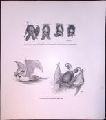 Long Eared Bat Swimming Rare Limited-Edition J.G. Millais Antique Print.