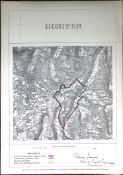 Honiton East Devon Boundary Commission 157-Year-Old Coloured Antique Map.