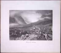 The Stag Sanctuary Rare Limited-Edition Antique JG Millais Print.
