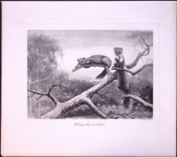 The Polecat Watching The Woods Rare Limited-Edition Antique Print-93.
