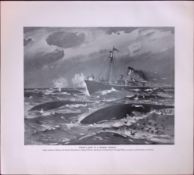 Hunting The Rorqual Whale Rare Limited-Edition J.G. Millais Antique Print.