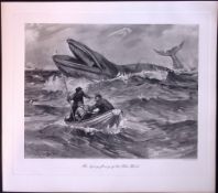 Blue Whale Being Hunted Rare Limited-Edition J.G. Millais Antique Print.