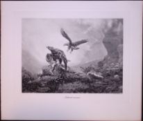 The Eagle & The Hare Natural Enemies Rare Limited-Edition Antique JG Millais Print-29.