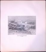 Wild Cat Stalking Mountain Hares Rare Limited-Edition Antique Print-52.