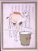 Cecil Aldin Antique Zoo Babies Scarce Illustration “The Baby Camel”-14