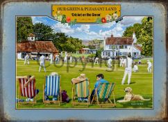 Cricket On The Village Green Nostalgic Summers Day Scene Metal Wall Art