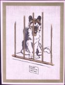 Cecil Aldin Antique Zoo Babies Scarce Illustration “Esquimaux Puppy”-19