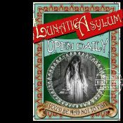 Victorian Life Of The Insane The Lunatic Asylum Metal Wall Art