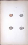 Tree Sparrow Species William Hewitson Antique Nests & Eggs of British Birds Print-60