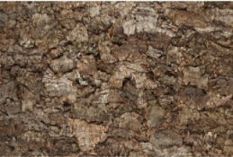 8.49sqm CW2000 Eden Natural Cork Interior Wall Cladding