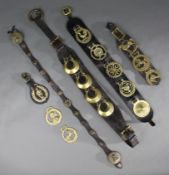 Collection of Antique & Vintage Horse Harnesses Brasses