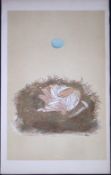 Rev Morris Redstart Bird Nest & Egg Antique Woodblock Engraving-40