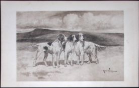 Pointers & Setters Antique 1893 Book Plate Rawdon Lee Modern Dogs-55