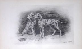 Dalmatians Antique Book Plate Rawdon Lee Modern Dogs 1893-11