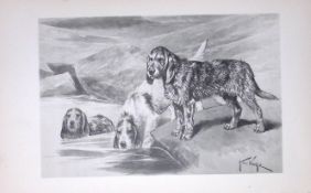 Outer Hounds Antique Book Plate Rawdon Lee Modern Dogs 1893-28