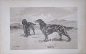 Gordon Setters Antique Book Plate Rawdon Lee Modern Dogs 1906-59