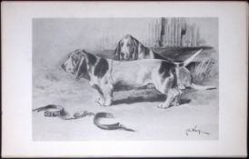 Basset Hounds Antique Book Plate Rawdon Lee Modern Dogs 1893-46