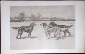 Group of Setters Antique Book Plate Rawdon Lee Modern Dogs 1893-54