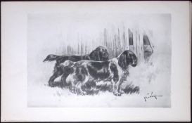 Cocker Spaniels Antique Book Plate Rawdon Lee Modern Dogs 1893-45