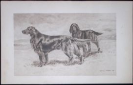 Pair of Irish Setters Antique Book Plate Rawdon Lee Modern Dogs 1906-58