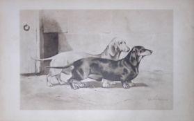 Pair Dachshunds Antique Book Plate Rawdon Lee Modern Dogs 1906-66