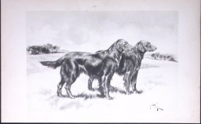 Pair Curly Coated Retrievers Antique Book Plate Rawdon Lee Modern Dogs-40