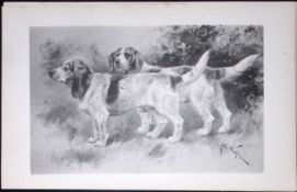 Beagles Antique Book Plate Rawdon Lee Modern Dogs 1893-26