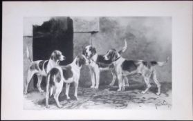 Harriers Antique Book Plate Rawdon Lee Modern Dogs 1893-25