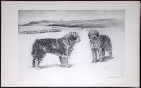 Old English Sheepdogs Antique Book Plate Rawdon Lee Modern Dogs 1894-8