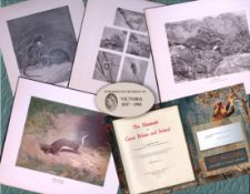 Job-Lot J.G. Millais Rare Limited-Edition Rats, Mice, Weasel, Antique Prints-27